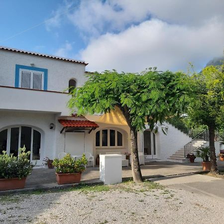 Bed and Breakfast Cocos Park Ischia Forio di Ischia Exterior foto