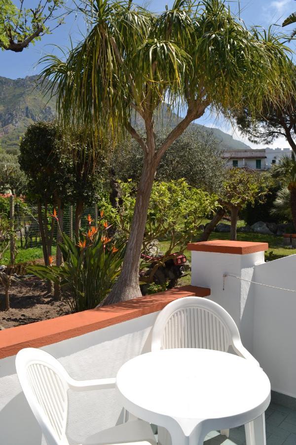 Bed and Breakfast Cocos Park Ischia Forio di Ischia Exterior foto