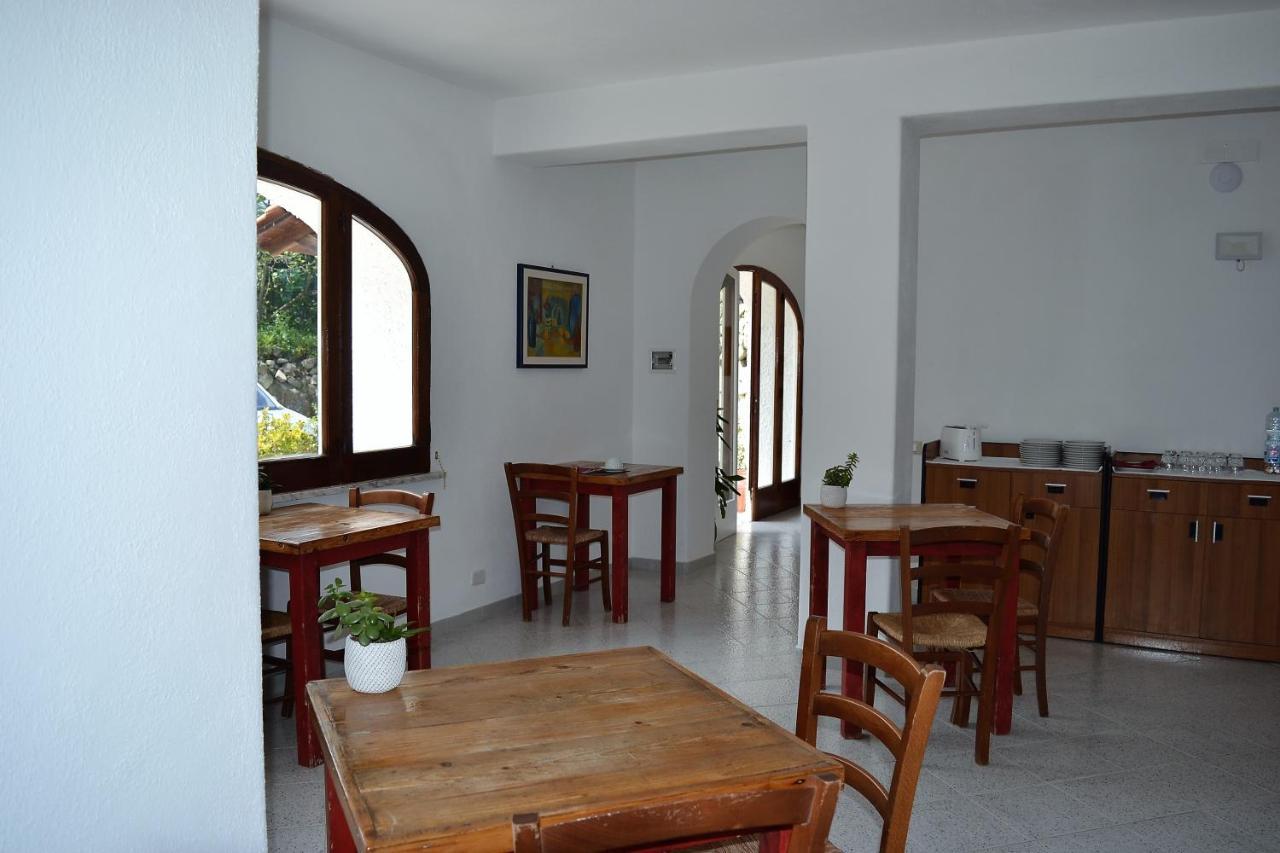 Bed and Breakfast Cocos Park Ischia Forio di Ischia Exterior foto