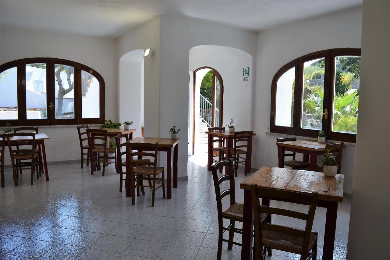 Bed and Breakfast Cocos Park Ischia Forio di Ischia Exterior foto