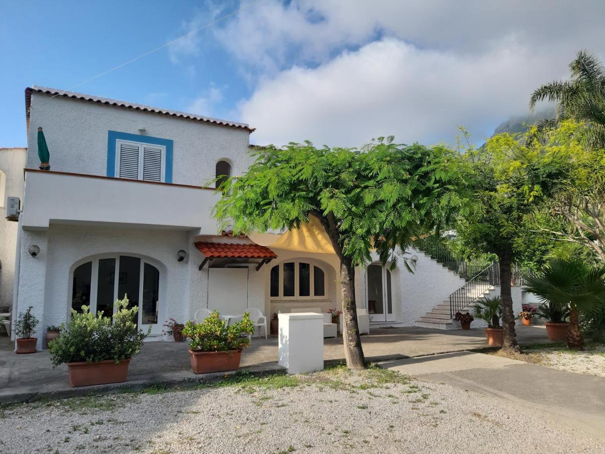 Bed and Breakfast Cocos Park Ischia Forio di Ischia Exterior foto