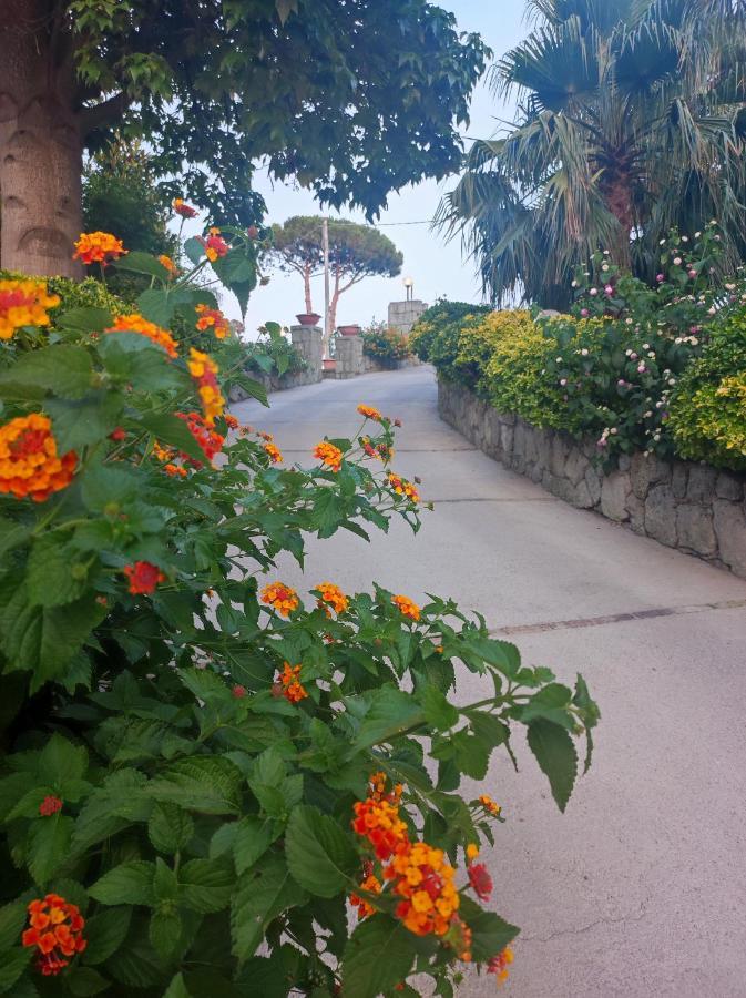 Bed and Breakfast Cocos Park Ischia Forio di Ischia Exterior foto